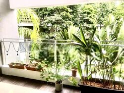 Sophia Residence (D9), Condominium #606481031